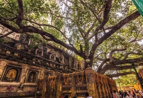 Travel photo from Bodh Gaya Kathina Chivara Tour