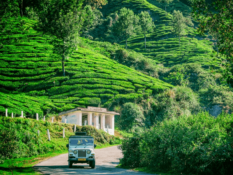 Travel photo from Kerala Hills, Backwaters & Beaches